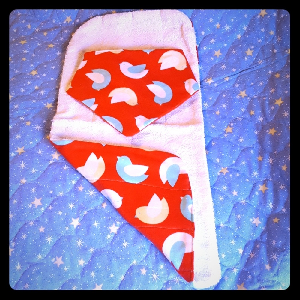Baby bib and burp rag set
